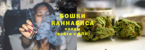 молекула духа Дмитров