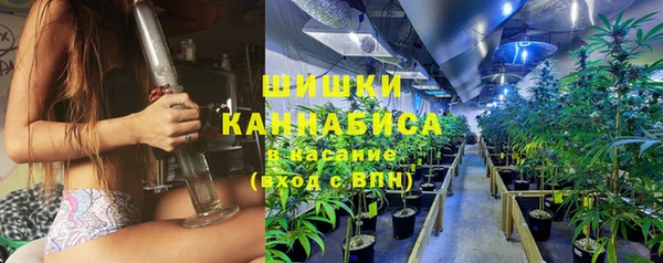 гидропоника Дмитровск