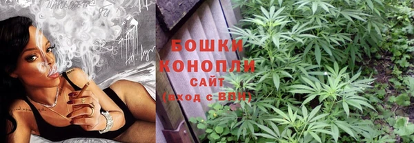 молекула духа Дмитров